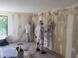 Best Mold Removal for HVAC Installations  in Seeley, CA